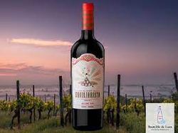 JOVEN EQUILIBRISTA MALBEC