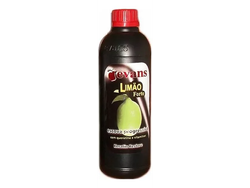 EVANS ALISADO LIMON FORTE 1000ML