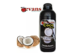 EVANS ALISADO  COCO 1000ML