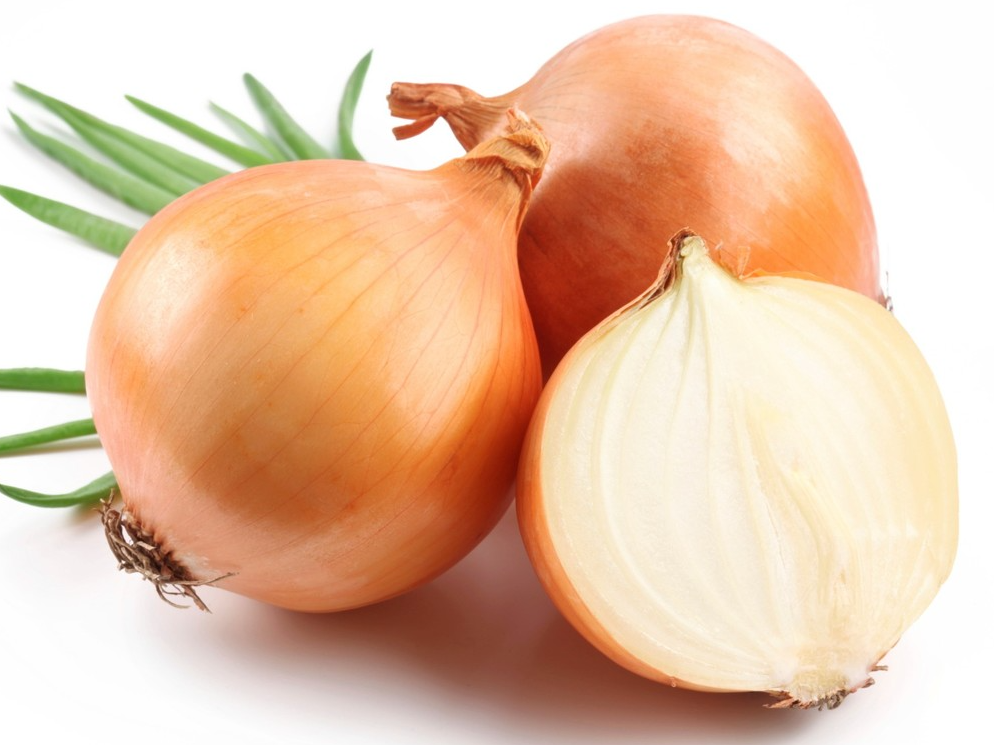 CEBOLLA