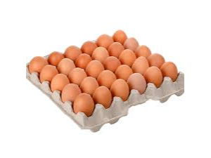 MAPLE HUEVOS COLOR