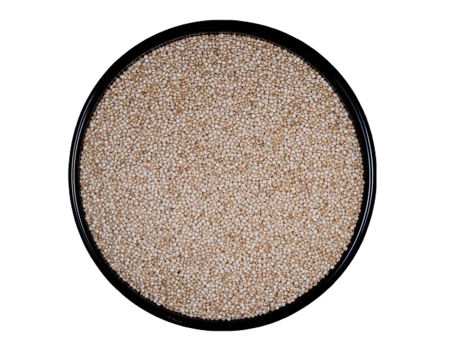 Quinoa