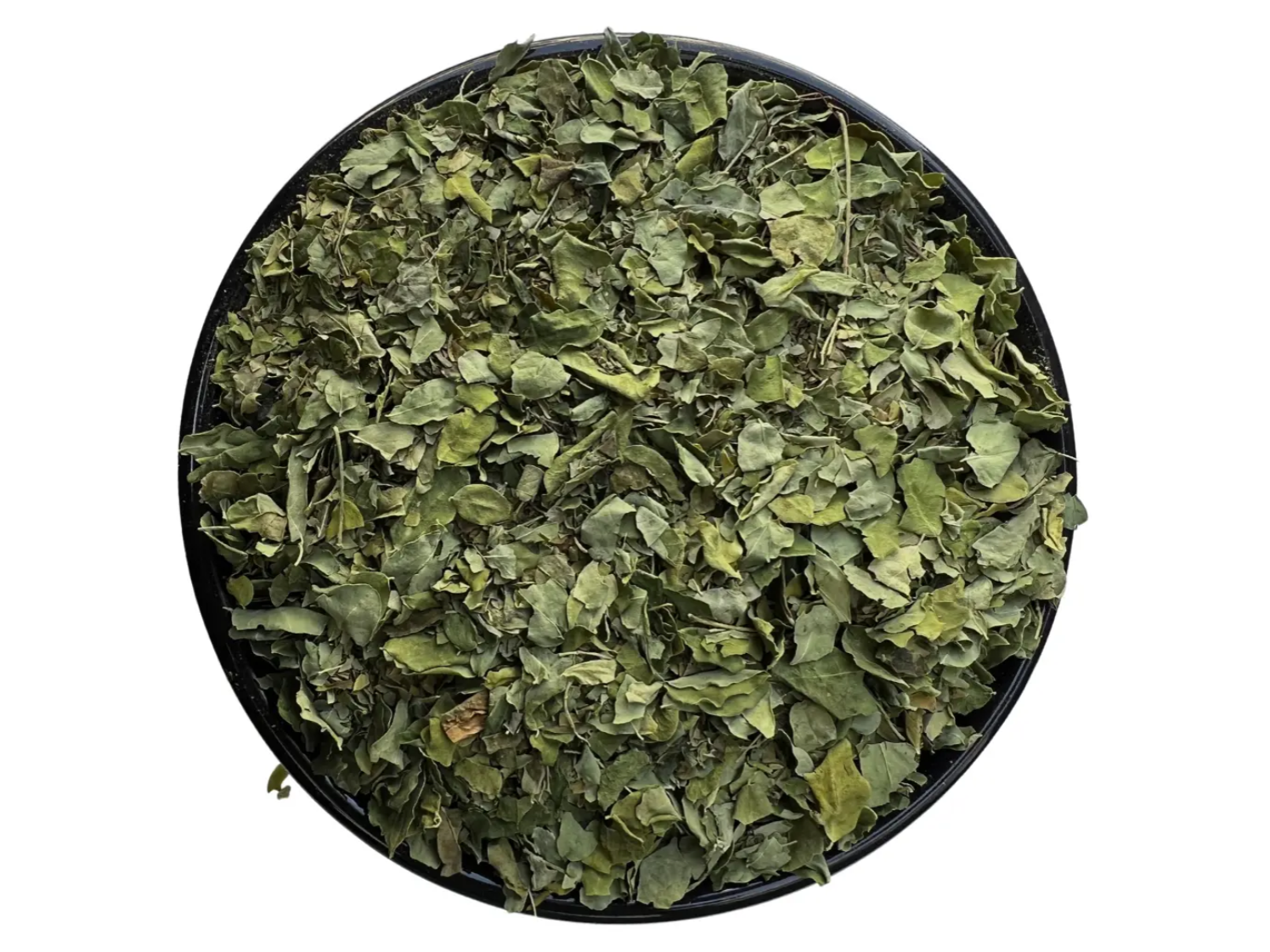 Moringa