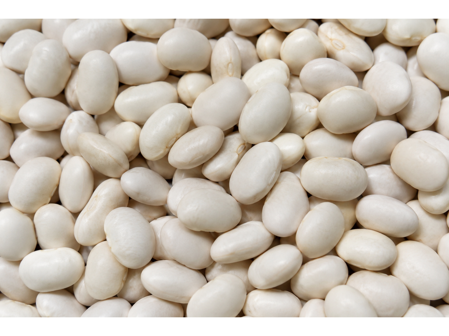 POROTOS ALUBIA