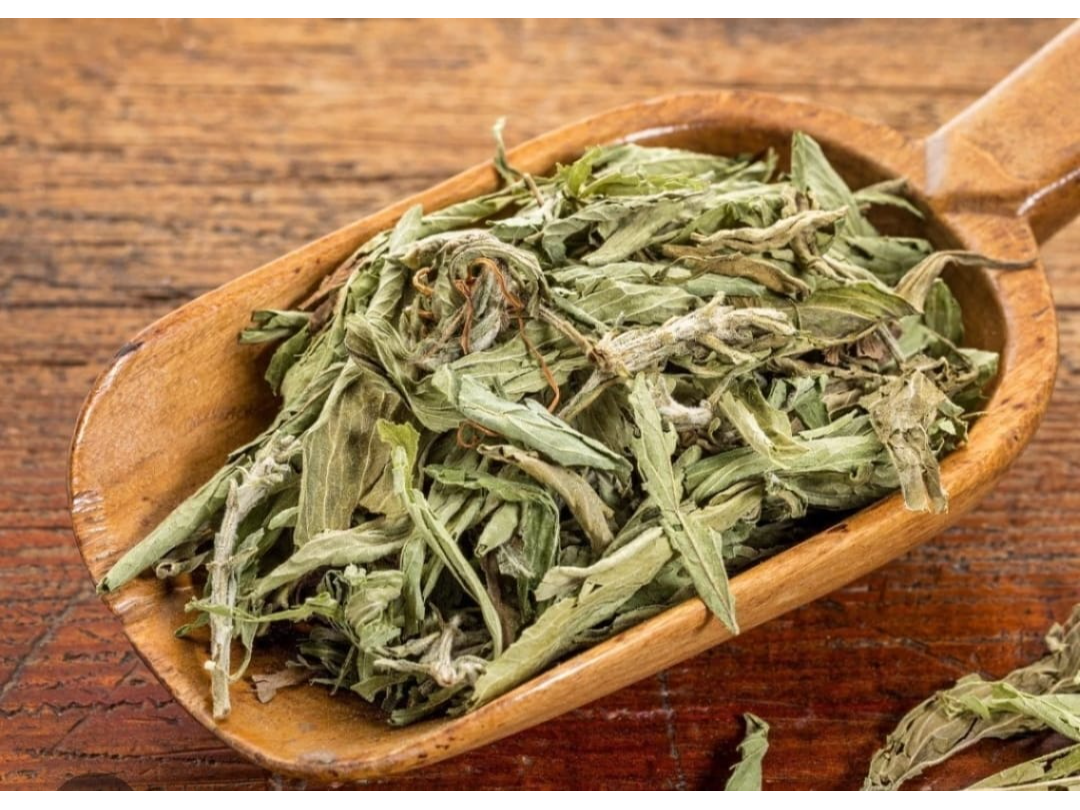 STEVIA EN HOJAS