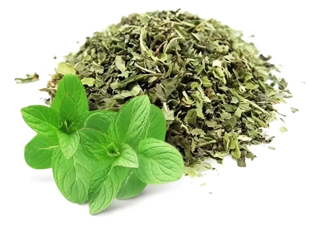 MENTA