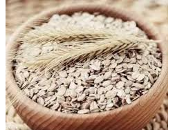 Avena Arrollada Gruesa