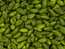 Pistacho Natural, Sin Cascara y crudo