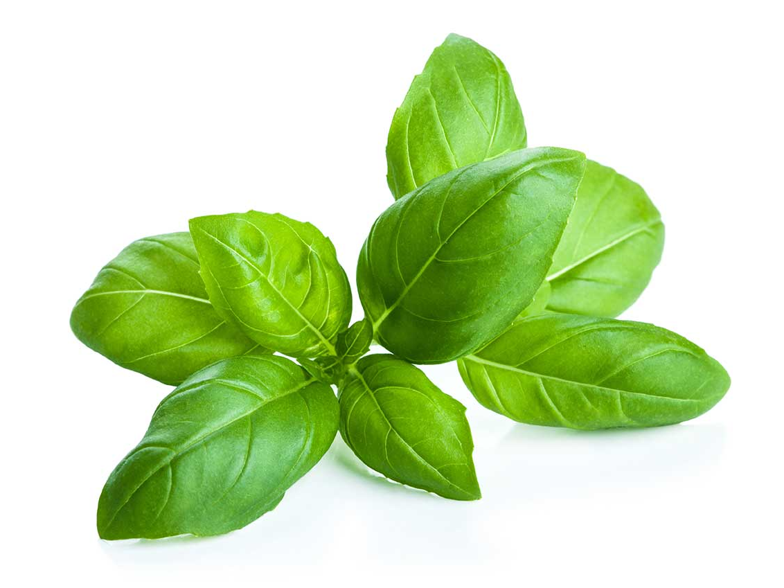 ALBAHACA