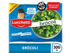 BROCOLI LUCCHETTI CONGELADO