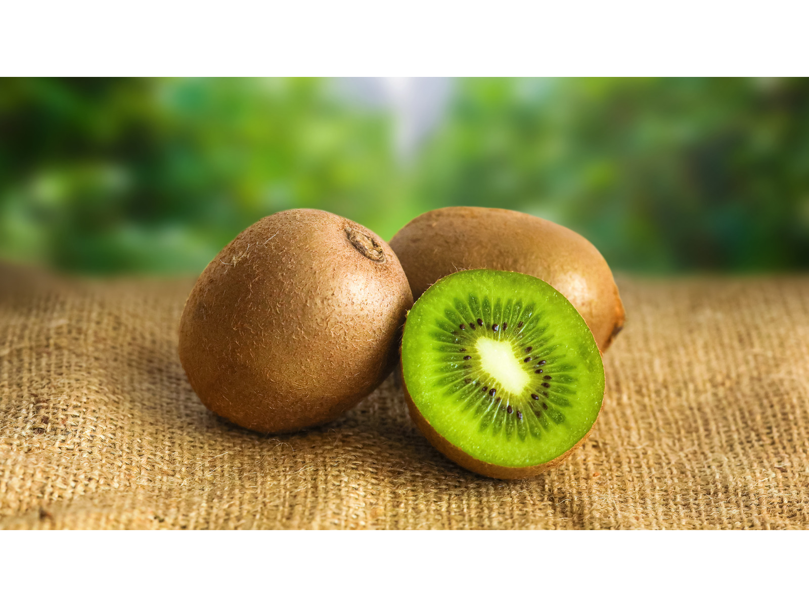 Kiwi