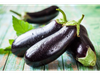 BERENJENA