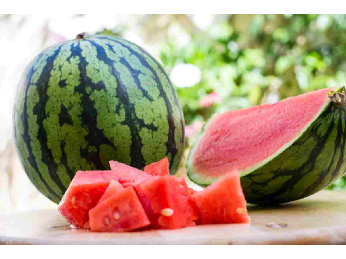 Sandia