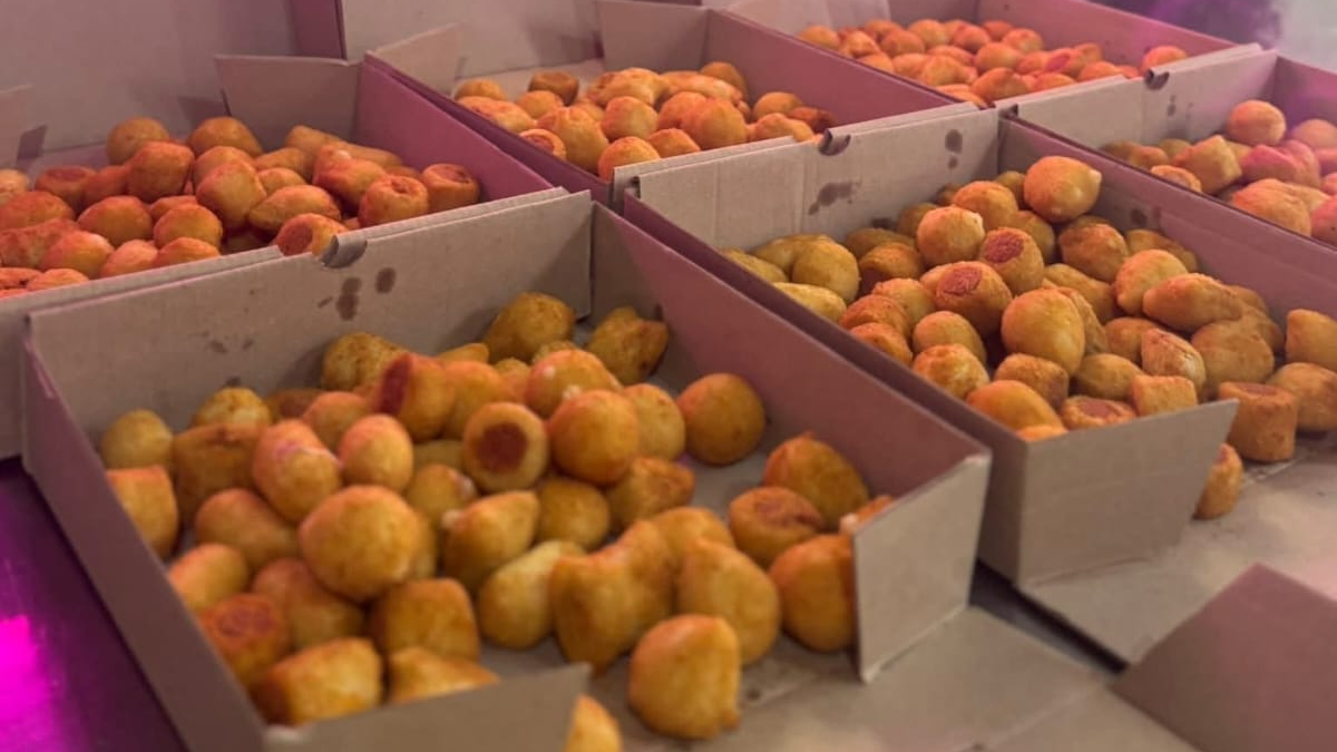 Salgados/coxiñas 🇧🇷✨