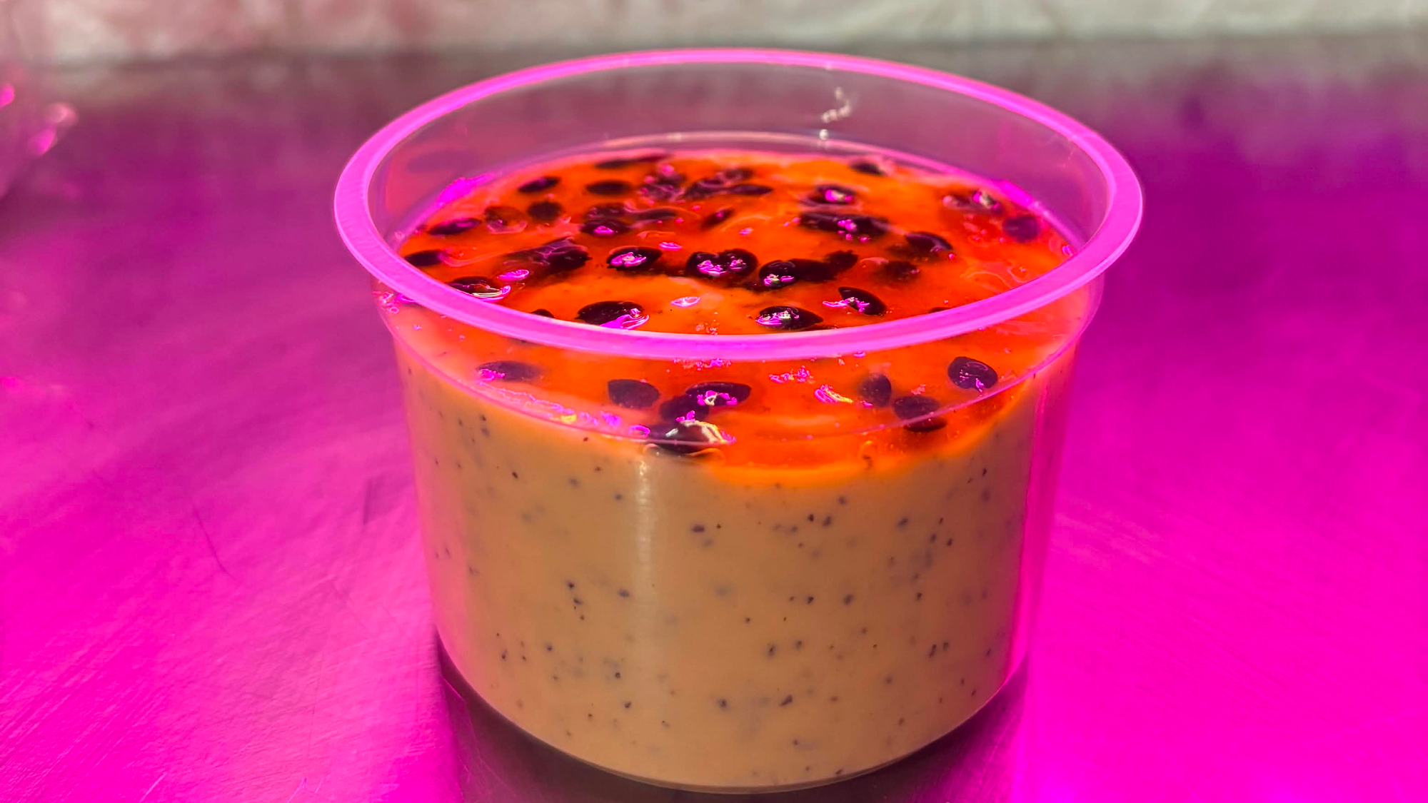 Torta frías y postres 🥶✨