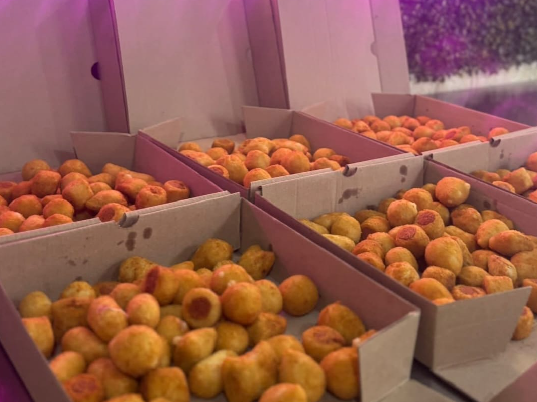 Salgados (chicos) SURTIDOS 20-25g c/u