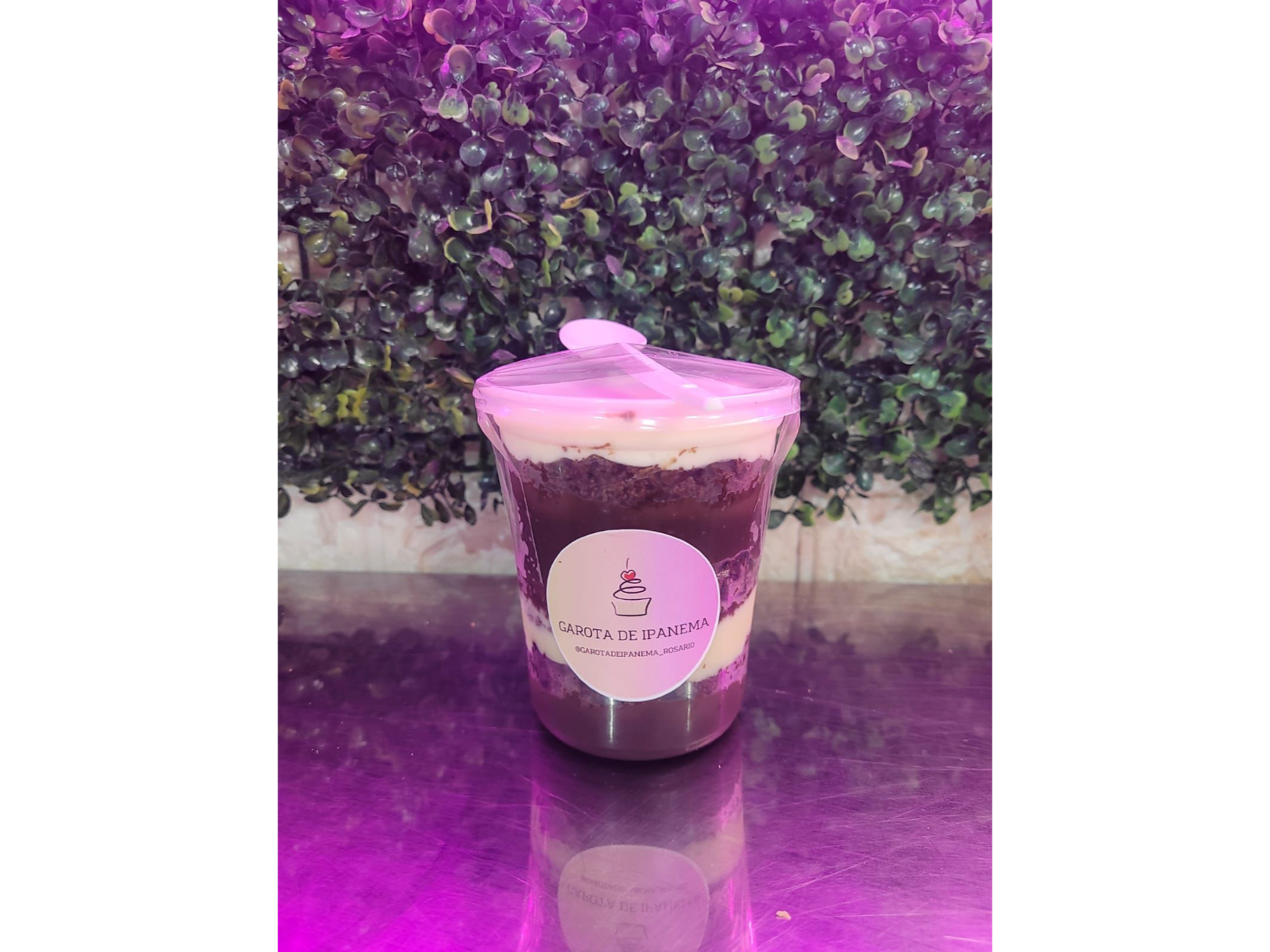 Postre 500ml (choc con coco)