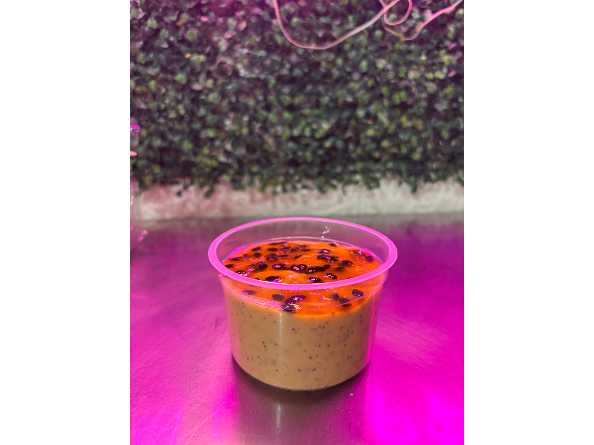 Postre/mousse 250ml (maracuyá)