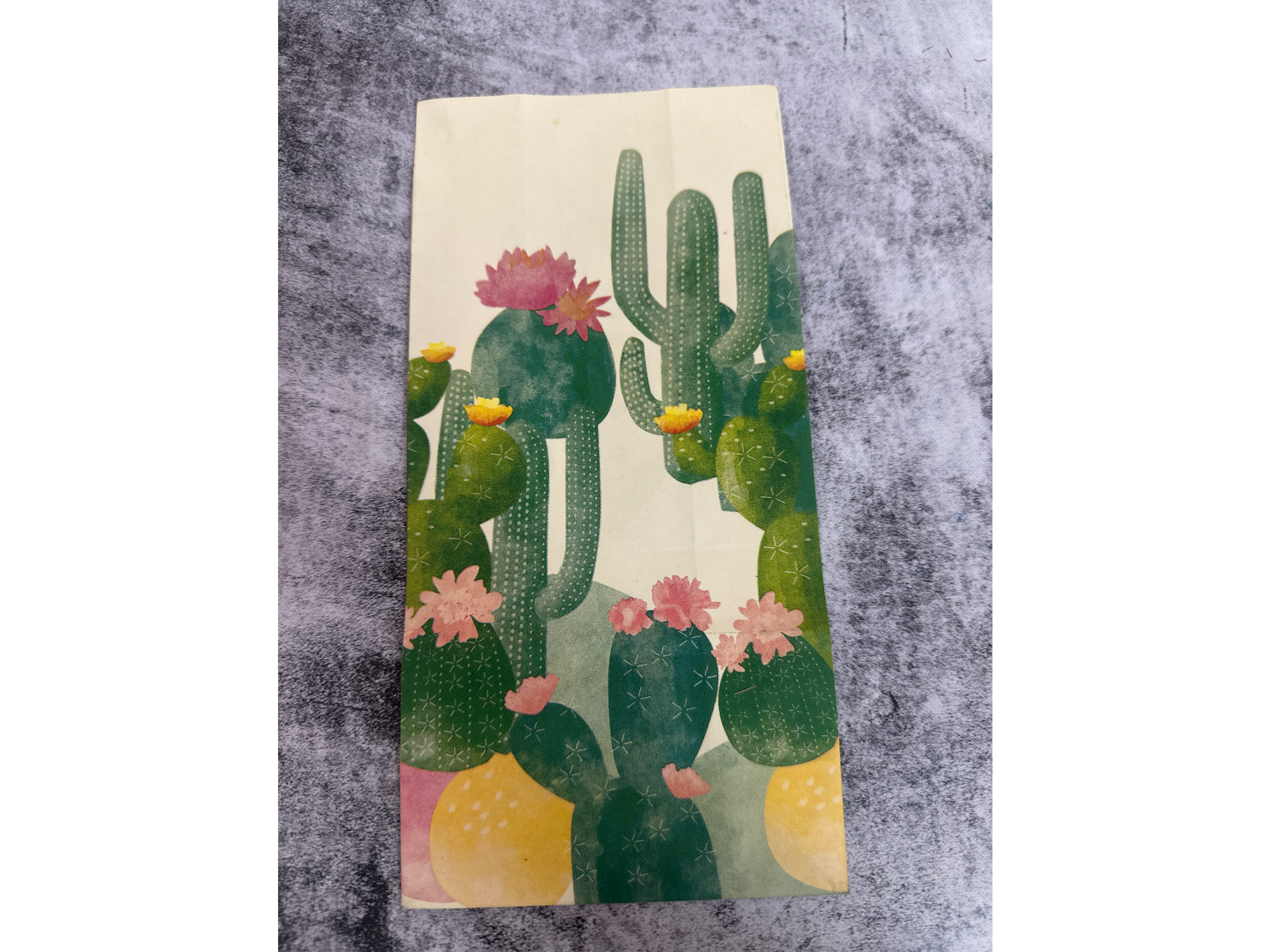 Bolsa fuelle: cactus