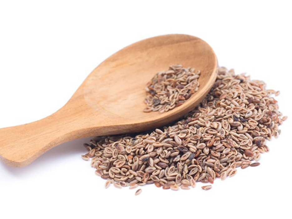 Psyllium