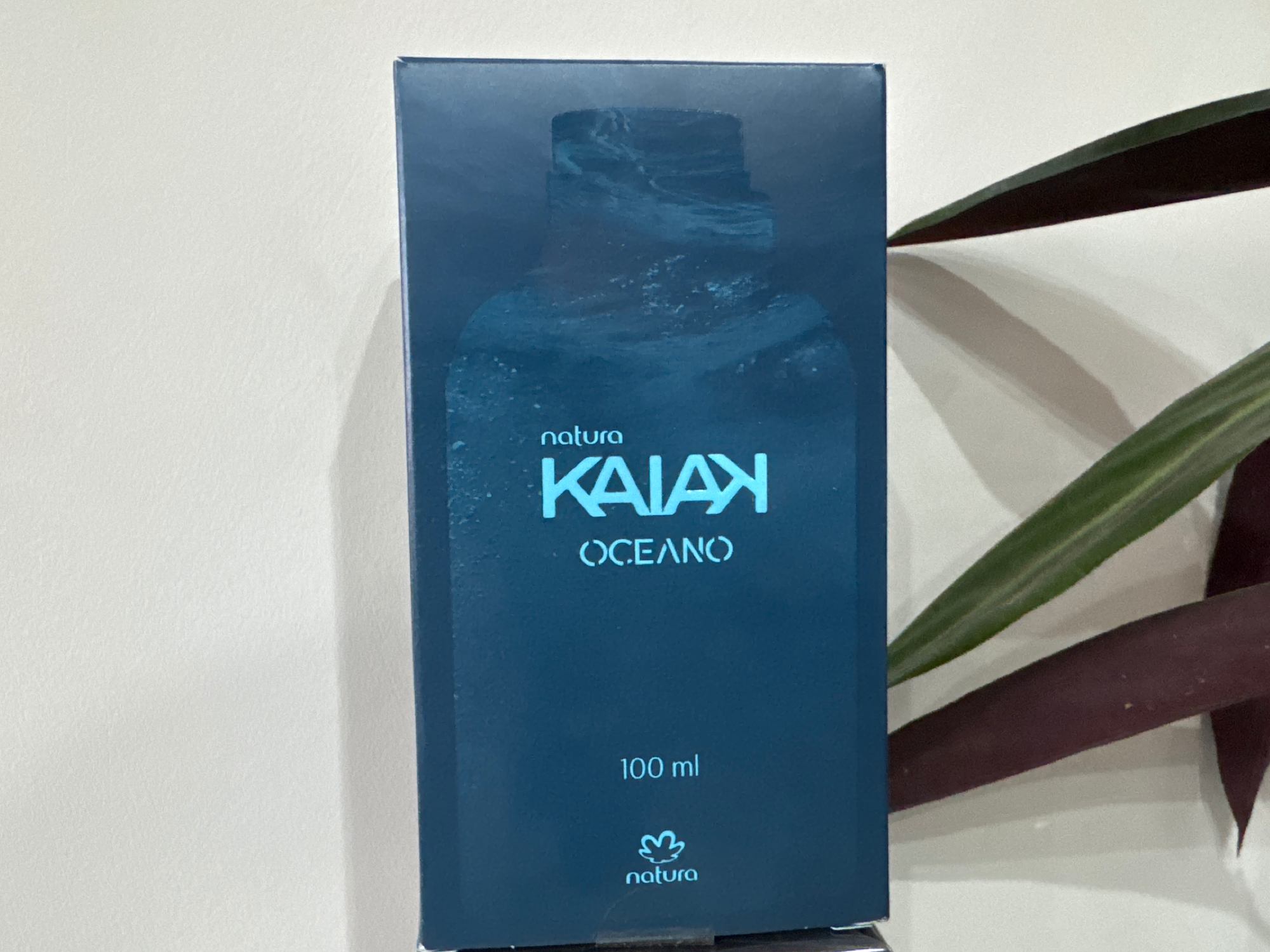 Kaiak océano