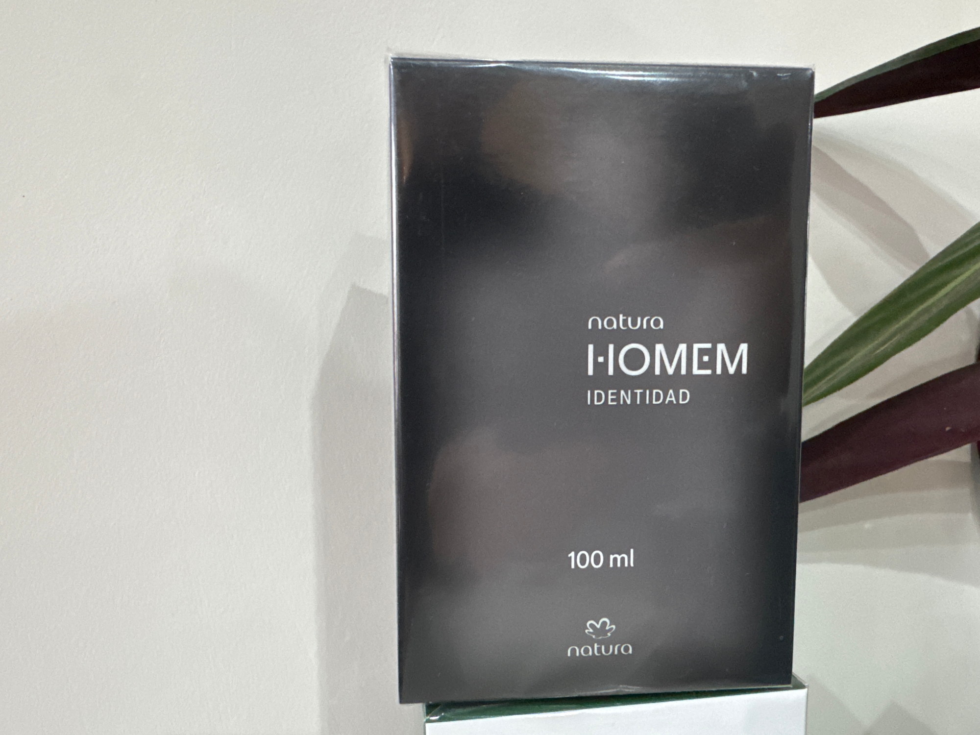Homem identidad