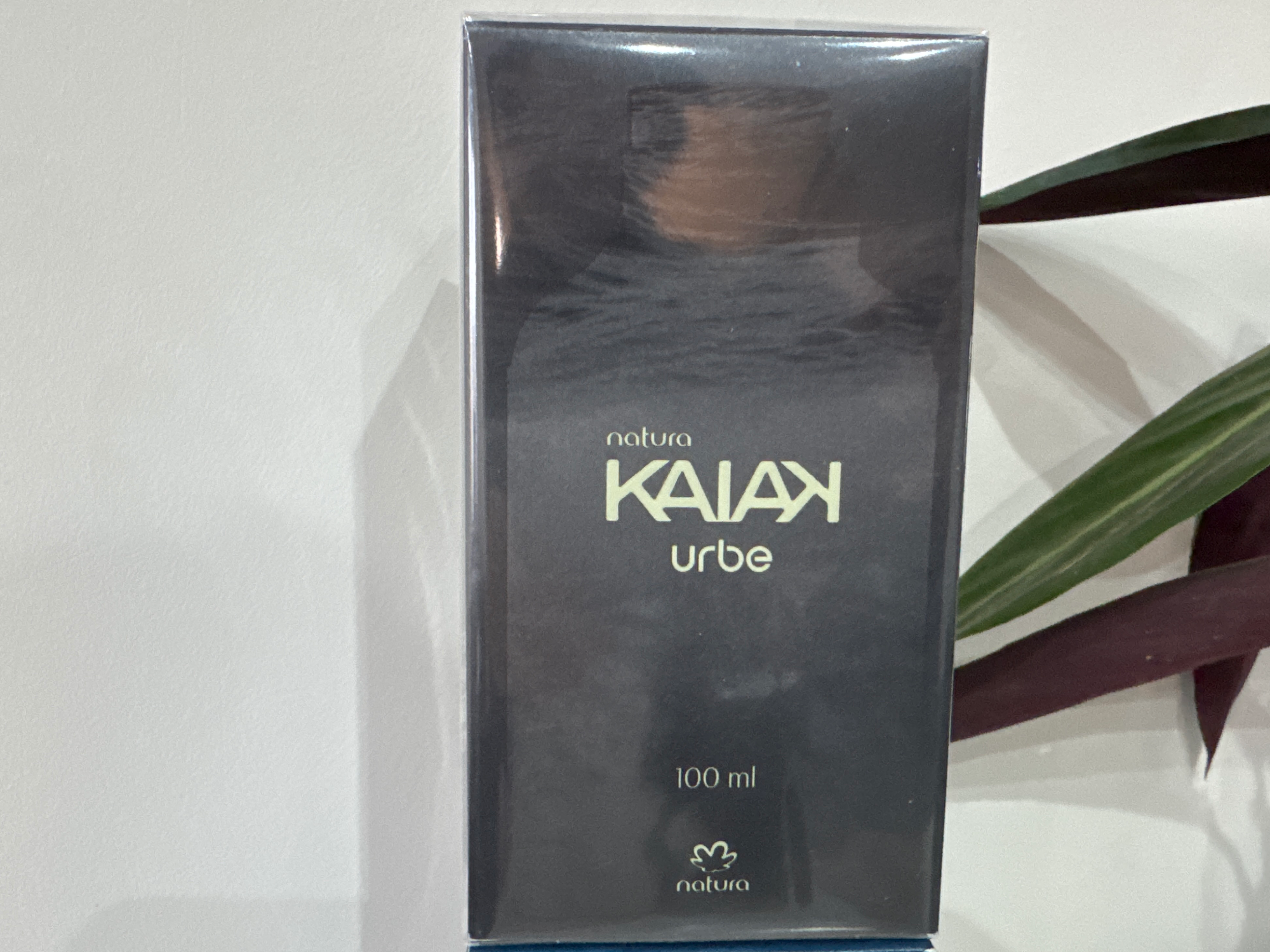 Kaiak urbe