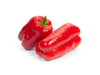 Pimiento Rojo