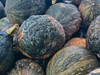 Zapallo cascara negra