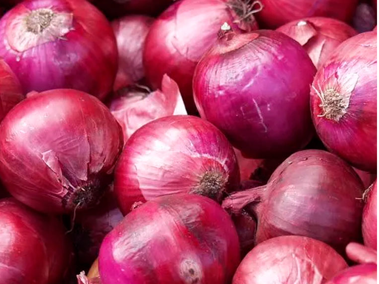 Cebolla Morada