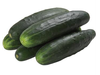 Pepino