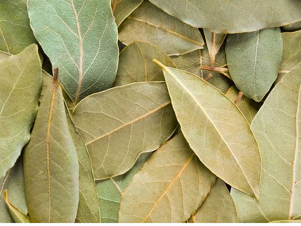 Laurel en Hoja (50 g)