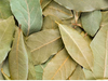 Laurel en Hoja (50 g)