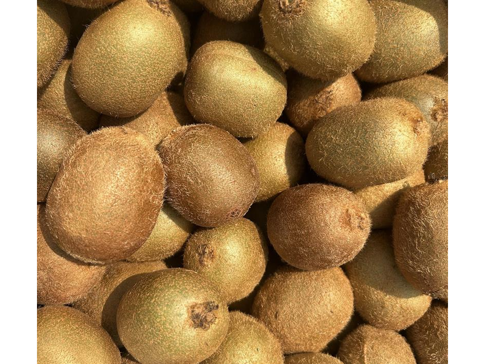 Kiwi