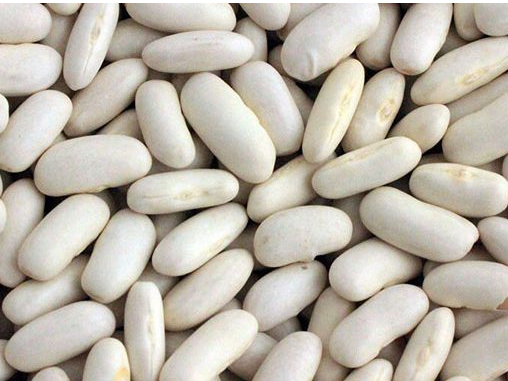 Poroto alubia 500g