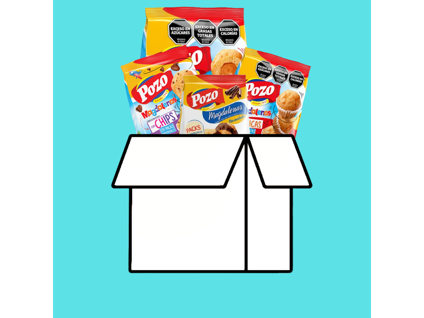 CAJA MAGDALENAS MIXTAS