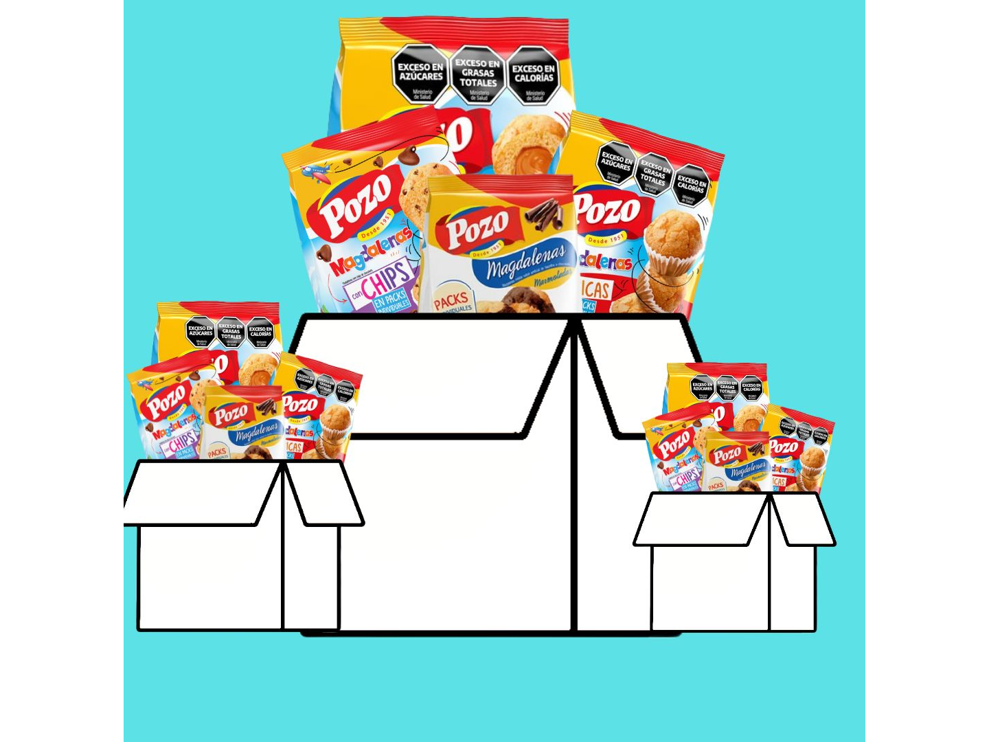 MAGDALENAS X 10 CAJAS