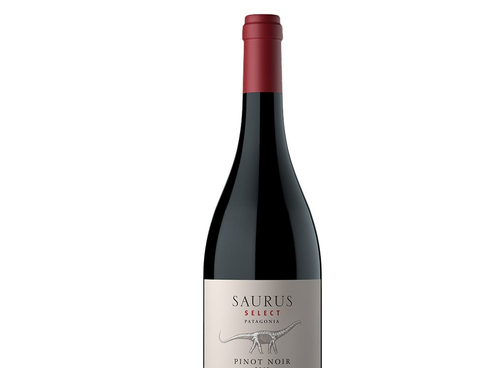 Saurus - select de Coppento Alta Cordoba