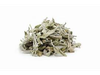 Salvia