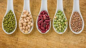 LEGUMBRES SEMILLAS Y CEREALES