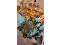 Brócoli