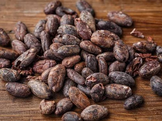 CACAO AMARGO