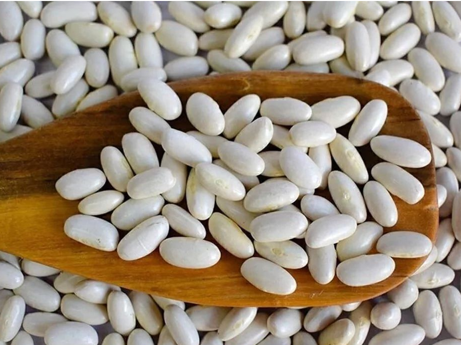 POROTOS ALUBIA