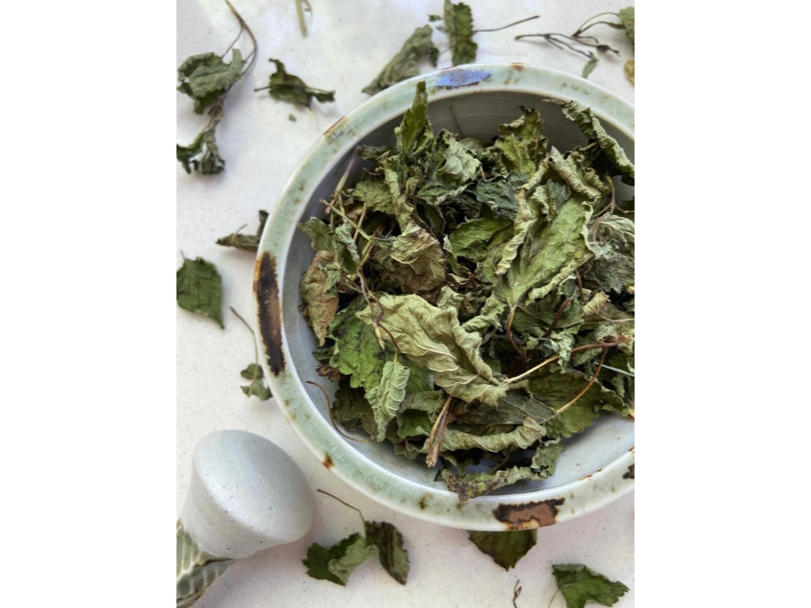 MELISA