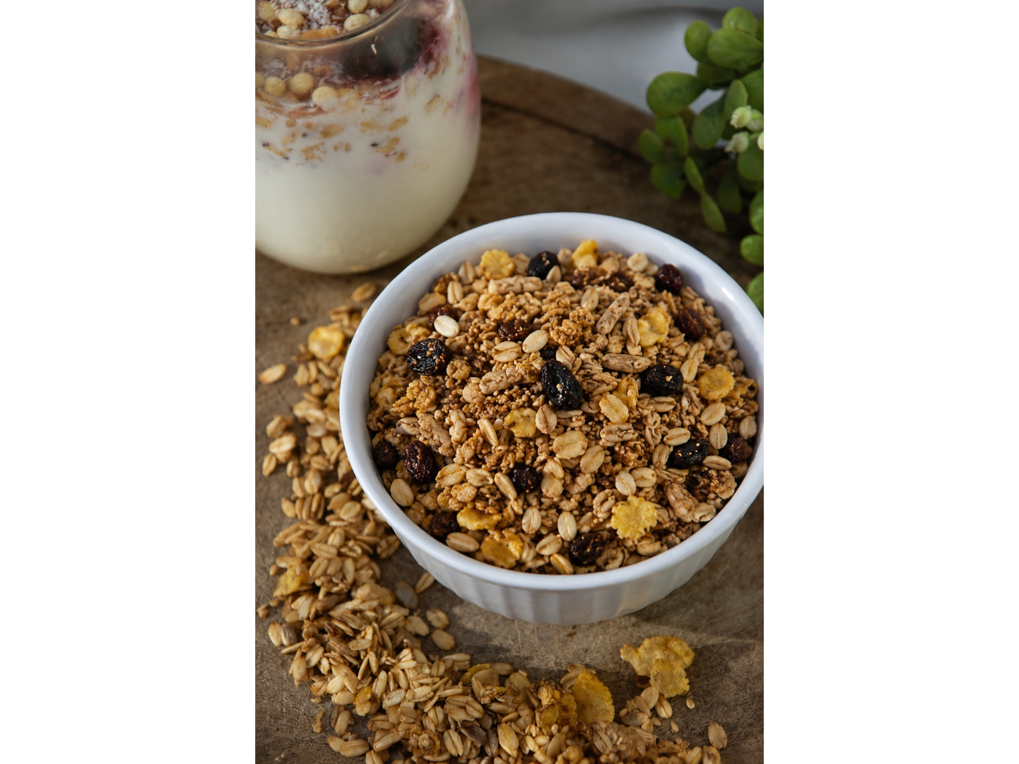 GRANOLA RICA EN FIBRAS