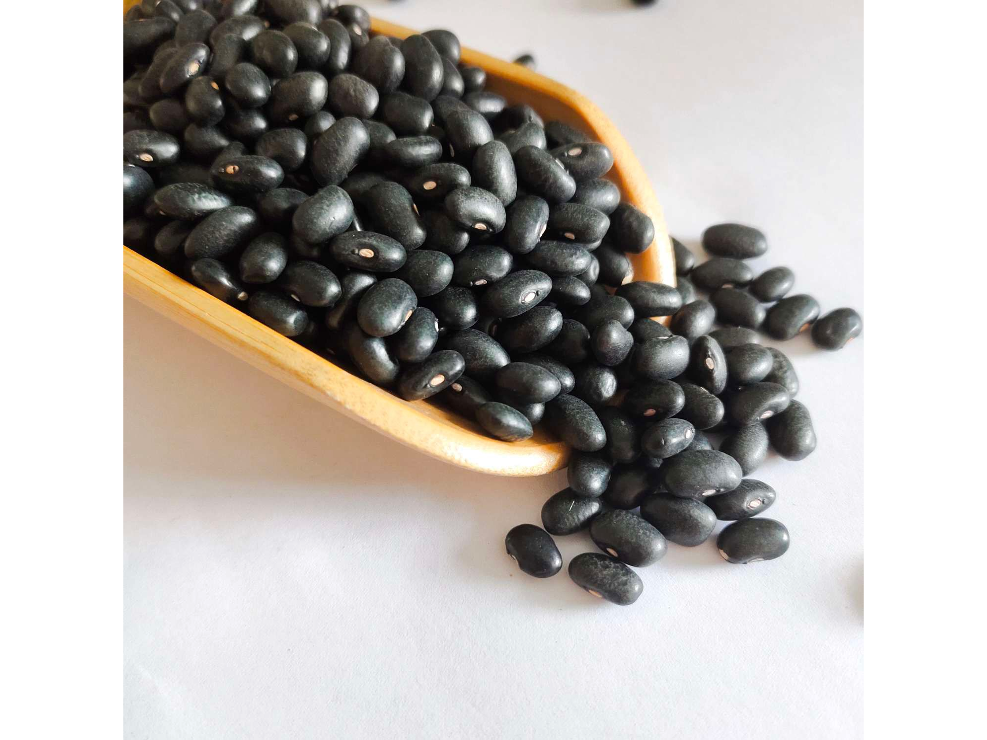 POROTOS NEGROS