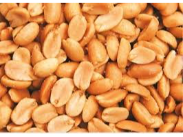 Mani pelado tostado salado