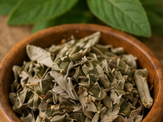 Stevia