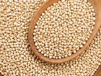 Quinoa Blanca Boliviana
