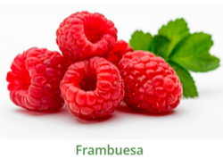 FRUTILLA ENTERA GRADO A MEDIANA X 10 KILOS